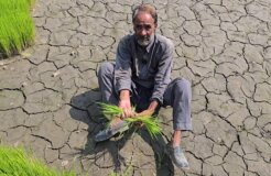 01 - Firdous Qadri in Dara Srinagar Kashmir 01 - Firdous Qadri in Dara Srinagar Kashmir