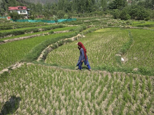 03 Firdous Qadri  in Dara Srinagar Kashmir