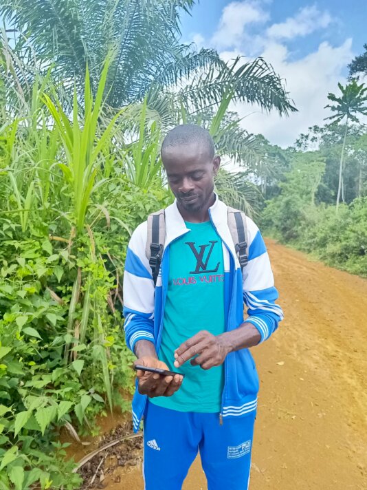 A forest gardian in southern Cameroon consults the MyGeoFarm digital platform to map out trees growth