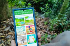 The My Farm Trees digital platform is empowering farmers in Cameroon to lead tree-planting projects that provide both short-term and long-term benefits of restored landscapes