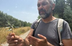 image00004 image00004