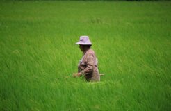 rutpratheep-nilpechr-nqZa1xUhrTs-unsplash