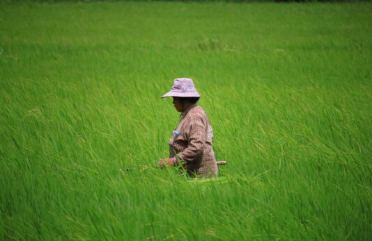 rutpratheep-nilpechr-nqZa1xUhrTs-unsplash