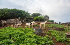 382b65d4-d1ac-49c3-a9ac-fe791a181f66 (1)