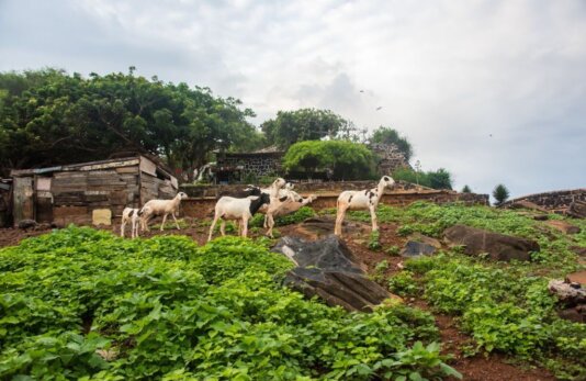 382b65d4-d1ac-49c3-a9ac-fe791a181f66 (1) 382b65d4-d1ac-49c3-a9ac-fe791a181f66 (1)