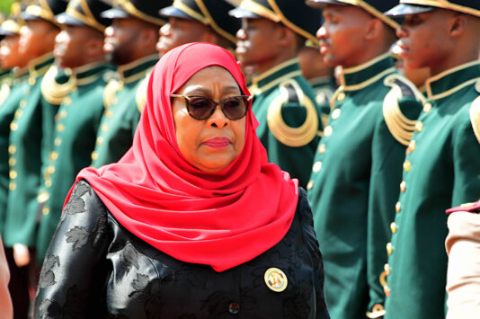 “President Cyril Ramaphosa hosts President Samia Suluhu Hassan of Tanzania” by GovernmentZA, CC BY-ND 2.0