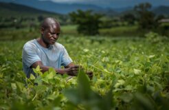farmer-africa richard-nyoni-1AoGjqdyDLU-unsplash