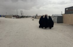 45817AE6-AFB2-468C-A384-7F9D11495795_1_105_c