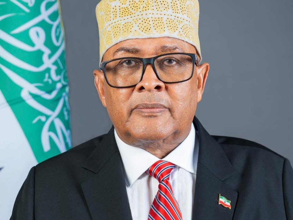 President_Abdullahi_(Irro)