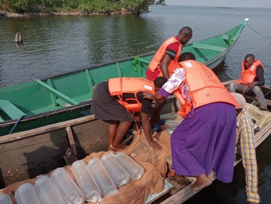 Aecf funded women preparing to stock their cages at RF farm - - Photo via Riofish