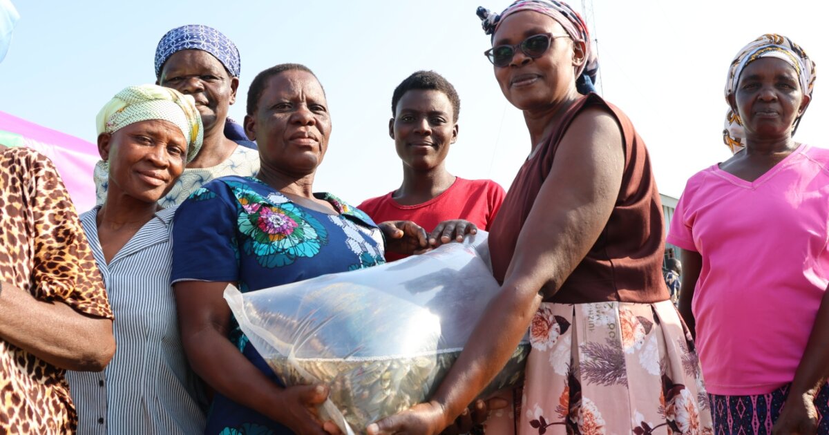 Women’s empowerment programmes help break the sex-for-fish cycle in western Kenya