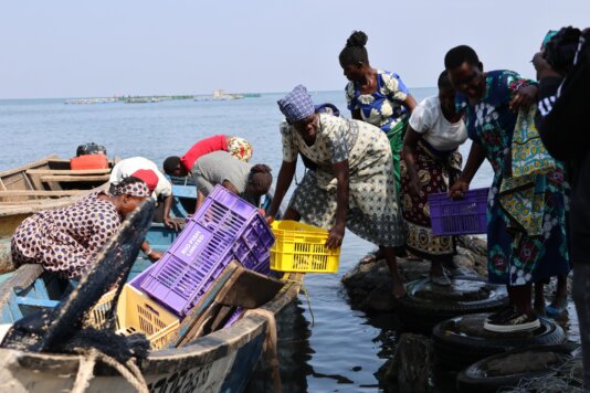 Aecf women harvesting their fish and offtake by RF - Photo via Riofish