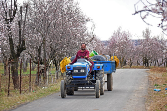 DS spring in kashmir 19 mar 2025 8