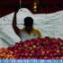 arjan-pradhan-hIz7X0NVhTo-unsplash