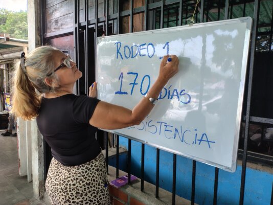 CLIPPVE day counter board