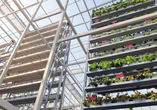 sky-greens-singapore-worlds-first-vertical-farm