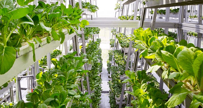 Aquaponics system singapore This Zambian Entrepreneur Is Designing Mobile, Sustainable Farms