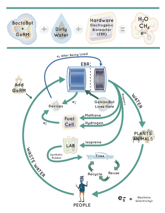 PilusFlowChart