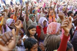 Peaceful Forest Protest in India Peaceful Forest Protest in India
