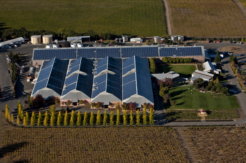 Sonoma County Wine Country From Above