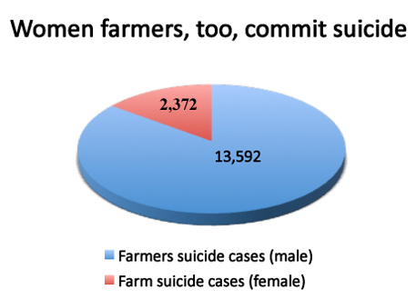 women farmer pie graph