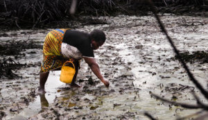 Cecilia Teela used to collect periwinkles in Bodo