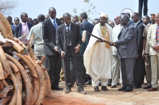 Photo of the former president Mwai Kibaki torching ivory in 2011.