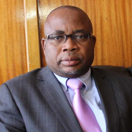 Dr. Paul Mavima, Professor of Public Administration and Policy, MP for Gokwe Sengwa, Zimbabwe Deputy Minister of Primary and Secondary Education Dr. Paul Mavima, Professor of Public Administration and Policy, MP for Gokwe Sengwa, Zimbabwe Deputy Minister of Primary and Secondary Education