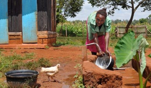 kenyawomanchix.jpg.510x380_q85_crop-smart