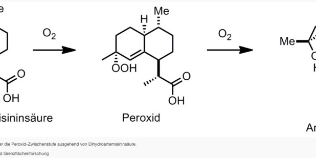 synthese von artemisinin