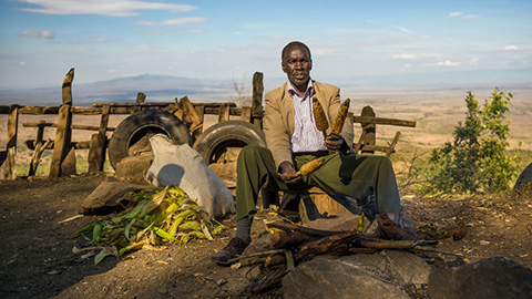 Narok County, Kenya: Farmer is selling maize on the Kamandura Mai-Mahiu Narok Road near the Great Rift Valley