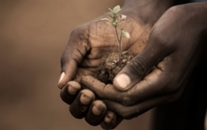 Bildschirmfoto 2015-04-22 um 18.09.57 Bildschirmfoto 2015-04-22 um 18.09.57