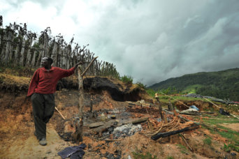 displacement world bank displacement world bank