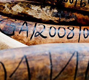 wildlife crime wildlife crime