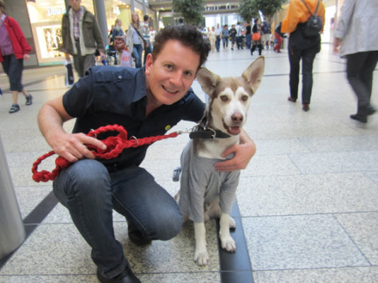 Marc Hairapetian with his dog Felix, a Sibirian Wolfdog-Husky Mix