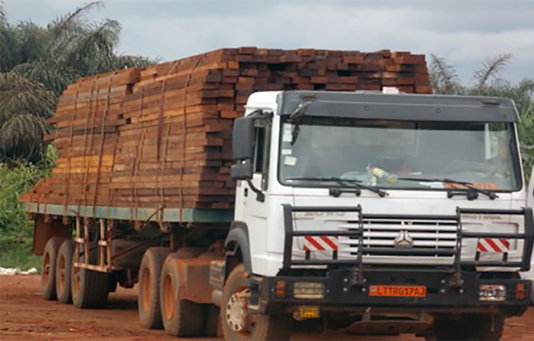 Because of strict regulation and surveillance in forest exploitation areas, loggers have changed strategy to illegally take wood out of the forest. They go right into the hinterlands cut prohibited species, saw into plank and mix with legal wood to transport to the city or better still traffic the illegal wood in cargo containers. Because of strict regulation and surveillance in forest exploitation areas, loggers have changed strategy to illegally take wood out of the forest. They go right into the hinterlands cut prohibited species, saw into plank and mix with legal wood to transport to the city or better still traffic the illegal wood in cargo containers.
