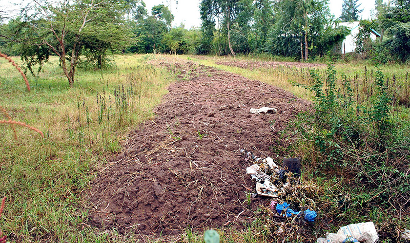 Dissapointed in lands that wont yield, farmers are abandoning their farms and leaving for the cities. Dissapointed in lands that wont yield, farmers are abandoning their farms and leaving for the cities.