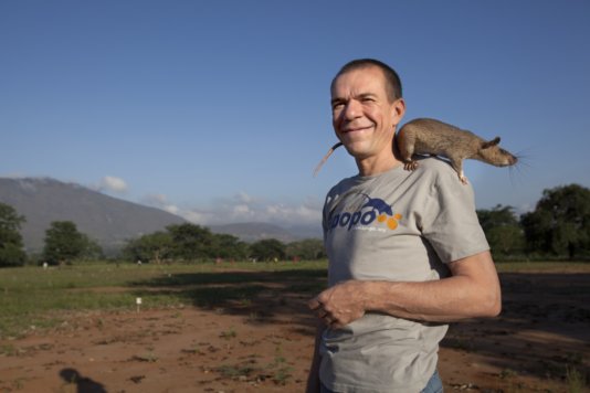 APOPO founder Bart Weetjens holding a HeroRat. APOPO founder Bart Weetjens holding a HeroRat.