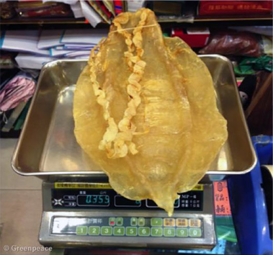 Totoaba bladders in the packet as they are sold at the black market in Hong Kong.