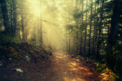 13934804652_cf8f8655bb_o