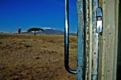 68230572_5fffa17629_o 68230572_5fffa17629_o