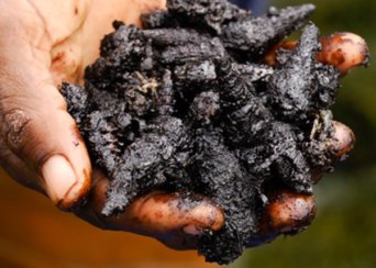 niger delta oil spill amnesty