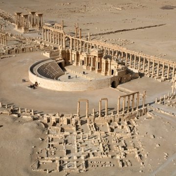 palmyra palmyra