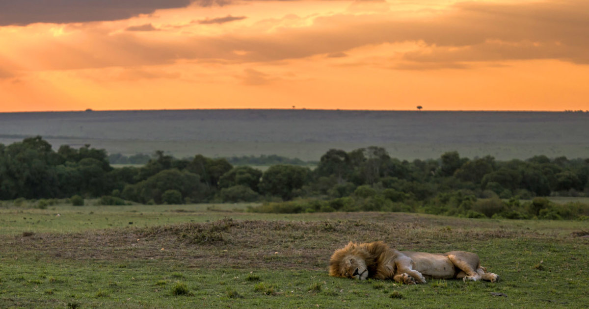 The technology boost for Kenya’s wildlife conservation | FairPlanet