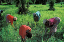 2073350635_c73aca9e2d_o_2