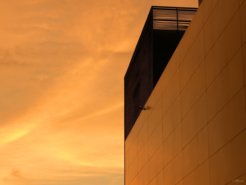 3793772842_075e3636e8_o