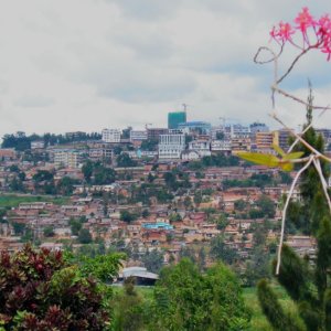 3850440401_65131e4d01_o 3850440401_65131e4d01_o