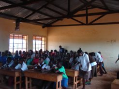 2646281557_d50fac154c_o