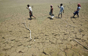 B_Id_379336_India_worst_drought