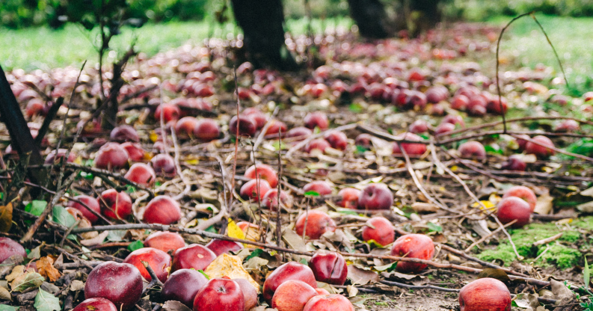 Alternative medicine in Zimbabwe